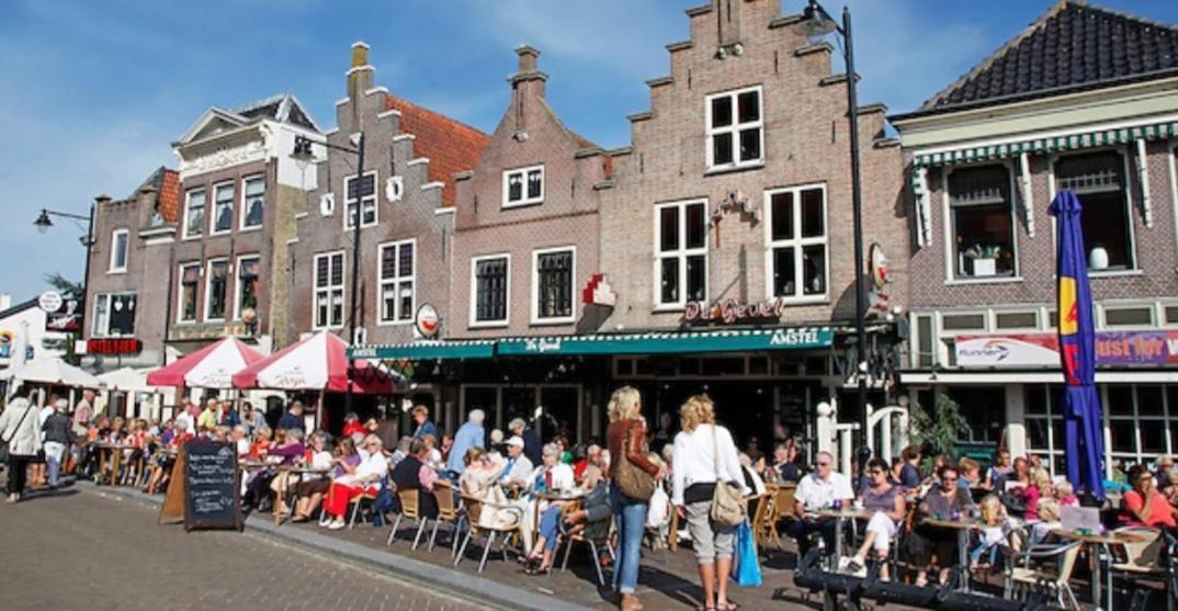 Huisje Britt Met Grote Tuin En Veel Privacy Dirkshorn Экстерьер фото