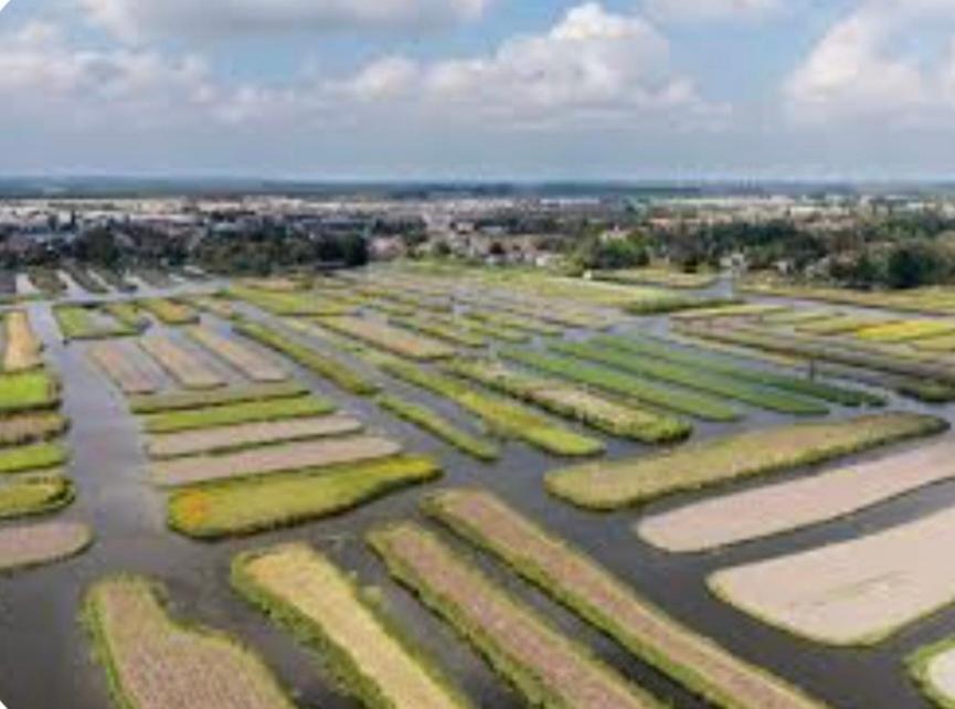 Huisje Britt Met Grote Tuin En Veel Privacy Dirkshorn Экстерьер фото